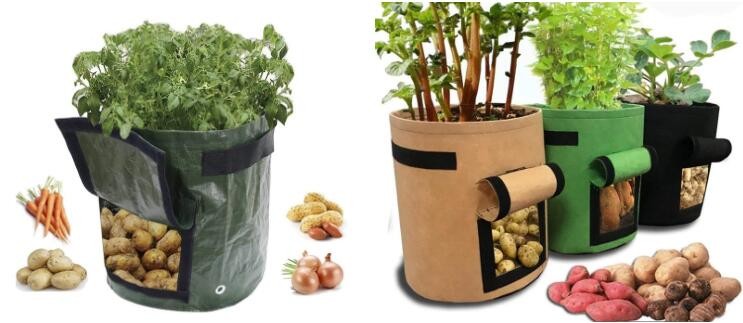 HOTICULTURAL MULCH FILM,AGRICULTURAL PE FILM,MARKET GARDENERS CLOCHE FILM,PE FILM FOR CORN,PLASTIC FILM COVER,TOMATO COV