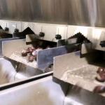 2 Tons Hourly Capacity Inshell Chestnut Sorting Machine Labor Saving