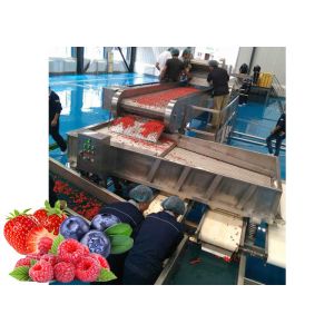 Fully Automatic NFC Fruit Juice Processing Machines One Year Warranty