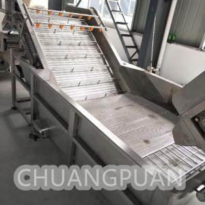 China 1-20T/H Fruit Pulper Automatic Stainless Steel Chain Plate Bubble Washing Machine For Fruit wholesale