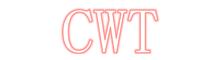 China China World Technology Medical Equipment Service Group logo
