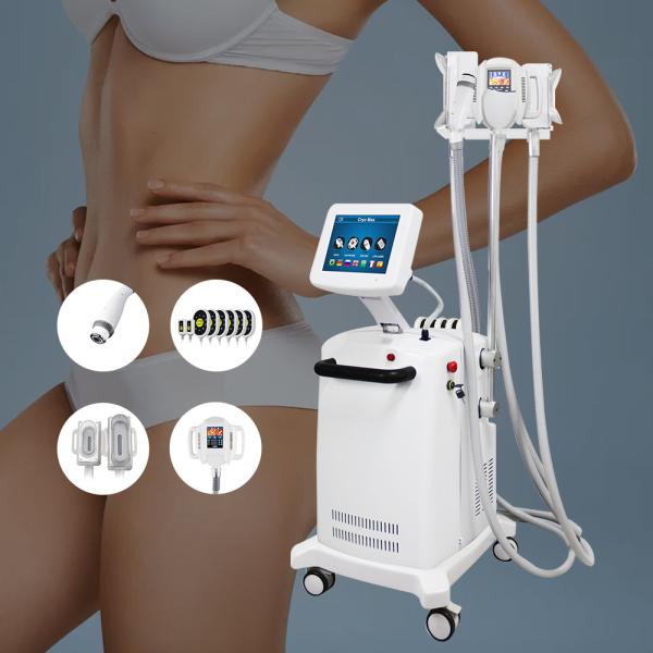 Quality 6400mw Max Lipolaser Output Power Cryolipolysis Slimming Machine For Effective Fat Reduction for sale