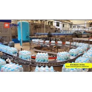 Beverage Palletizer Efficient & Reliable Automated Palletizing Solutions