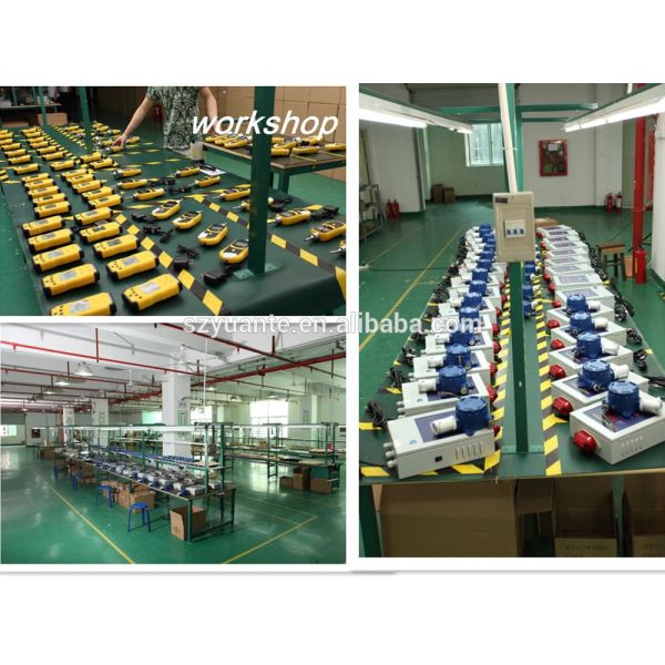 IECEX ATEX Certified Single Gas Detector with IP68 Protection