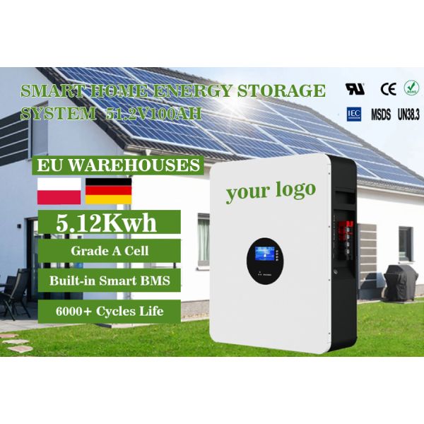 Customized 48V 100Ah 200Ah Energy Storage Battery Rechargeable Power Wall Lithium Ion Battery 5kWh 10kWh for Home Power Backup