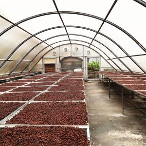 China Polycarbonate Board Chilli Drying Solar Greenhouse Dryer For Vegetables Fruits wholesale