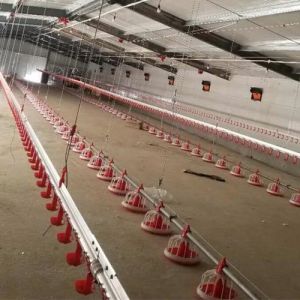 China 22ton 220V Auger Automatic Pan Feeding System Shed wholesale