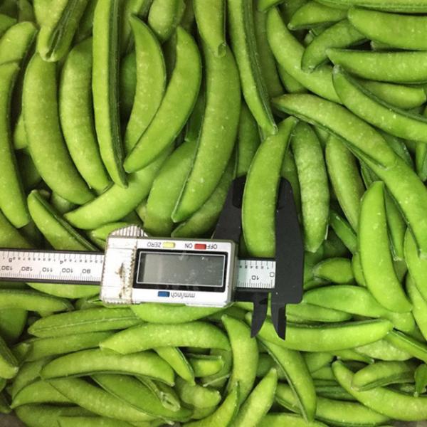 Quality No Allergens New Crop Bulk IQF Frozen Sugar Snap Peas for sale