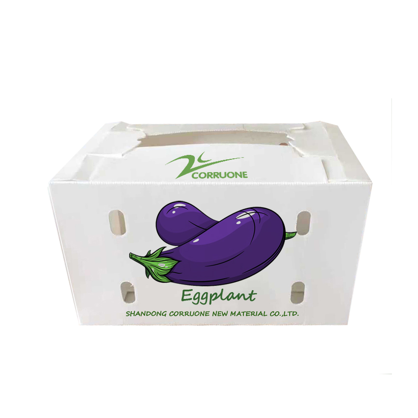 Correx Corn Vegetable Corrugated Boxes Corrugated Plastic Shipping Boxes