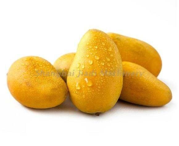 Quality Durable Fruit Jam Production Line / Mango Juice Processing Line With Sterilization Machine for sale