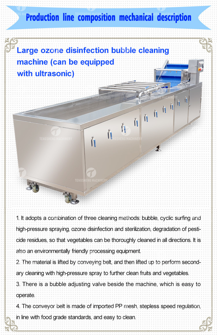 Silvery Personalization Passion Fruit And Vegetable Processing Line Fruit Cleansing Drying