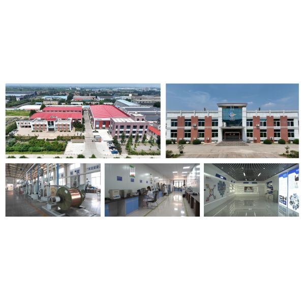 1/2 Core Indoor Drop Cable FTTH GJXH-2B6 Drop Cable G657A2 G657A1 LSZH Jacket