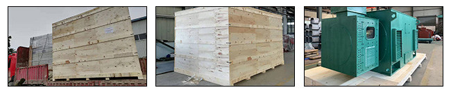 2200kw Explosion Proof Wound Type Induction Motor IP55 IP65
