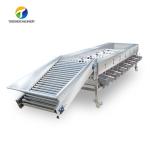 Circulating Hole Fruit Processing Line , Tengsheng Roller Conveying Vegetable