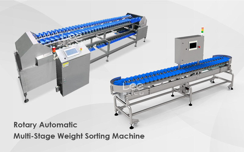 Easy Operation Tray Type Apple Lemon Peach Orange Kiwi Mango Avocado Fruit Grader Sorting Machine