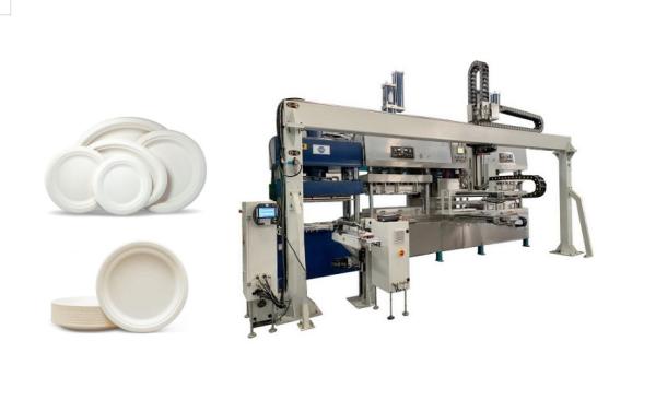Quality Bamboo Pulp Auto Tableware Making Machine With Robot Arms And Stacking Robot for sale