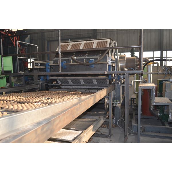 Automatic waste paper recycle paper pulp egg tray production line by Wanyou