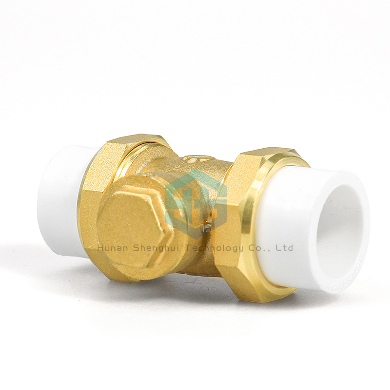 Vertical PPR Double Union Non Return Valve for Water Meter Free Sample