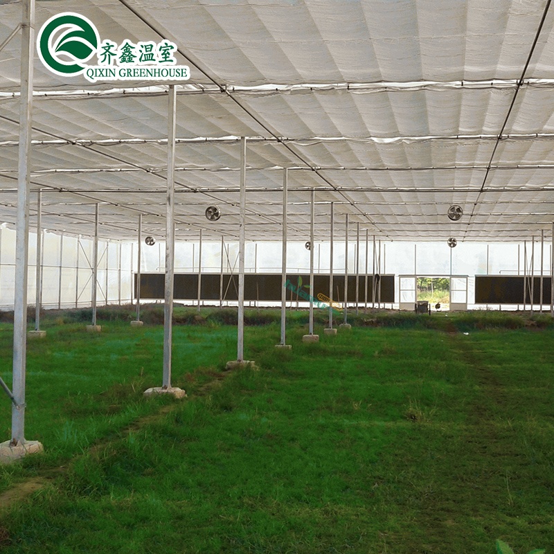 PO Single Layer Greenhouse for Agriculture Boost Agricultural Production