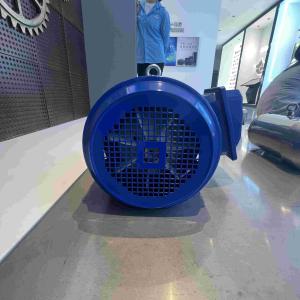 China YE3 Model Carbon Steel High Efficient Electric Motors For Pumps wholesale