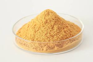 China Odorless Ferric Sulfate Water Treatment Sample And Customization Offered wholesale