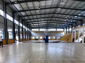 China Q355b Prefabricated Industrial Steel Building with Secondary Frame Brace wholesale