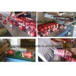 Automatic Heat Shrink Packing Wrapping Machine Fully Sealed Shrink Packing