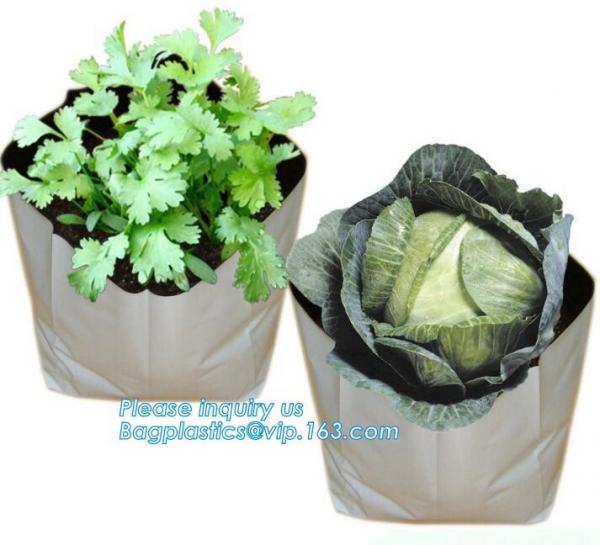 fabric pots grow bag felt garden bag with handle,Hydroponic Grow Bag 1 Gallon Containers With Handle,Eco-friendly High q