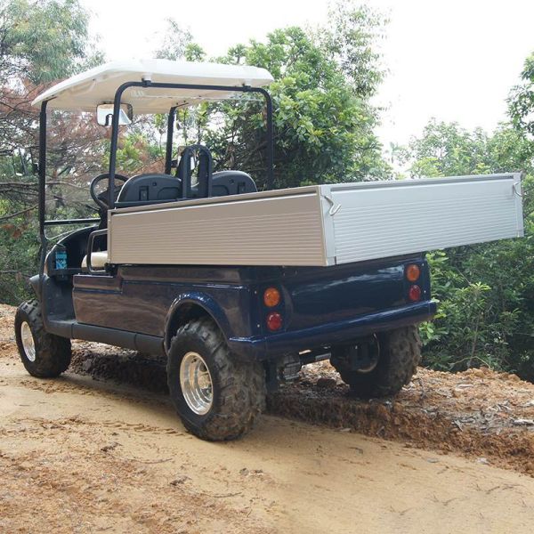 Blue Electric Utility Carts Built with High Frequency 48v 3.7kwRegulators and Curtis Controllers for Smooth Driving Experience