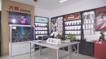 Beijing Daqin New Universe Electronic Co., Ltd.