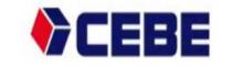 China CEBE GROUP HK CO.,LTD logo