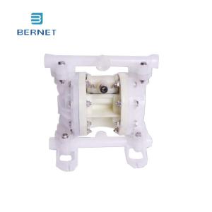 China Adjustable Flow Rate Diaphragm Pump for Precision Control wholesale