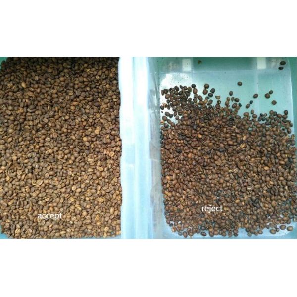 Wenyao Chute Style Large Sorting Accuracy Color Sorting Machine Coffee Bean Color Sorter