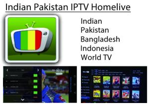 China Wholesale Indian Pakistan IPTV Homelive apk iptv wholesale
