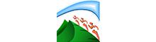 China Dengfeng (Zhaoqing) Trading Co., Ltd logo