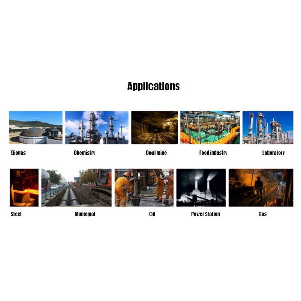 Fixed Explosion Proof Wireless RS485 Output Industry Gas Detector