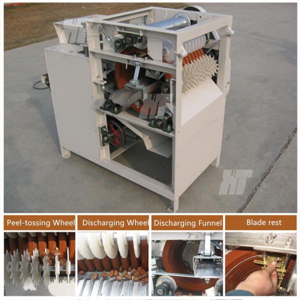Quality Broad Bean Peanut Peeling Machine 220V Hazelnut Peeling Machine for sale