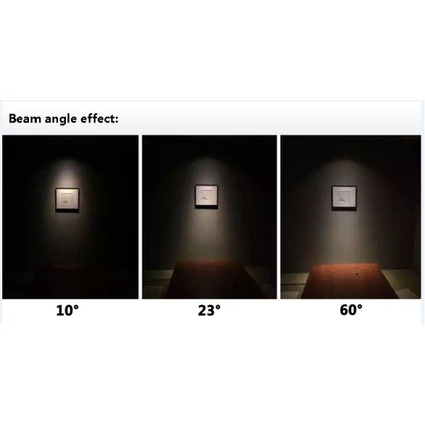 3000K 10W LED down light NEW white ceiling light surface mounted type 5 years warranty