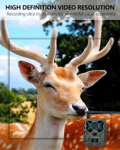 China Cost effective Newest 4G trial camera KW886 with antenna 24MP 0.1s trigger build in SIM card for deer hunting wholesale