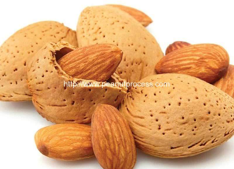 Almond-Cracking-and-Shelling-Machine