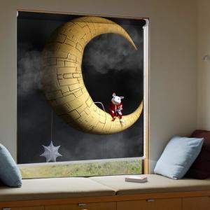 China 100% Polyester 3D Printed Roller Blinds Horizontal Eco Solvent Printing 280g/M2 wholesale