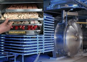 China Industrial-Grade Food Vacuum Freeze Dryer Energy Saving Lyophilizer wholesale