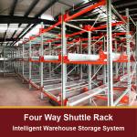 Four Way Radio Shuttle Racking ASRS pallet runner rack system 4 Way Radio