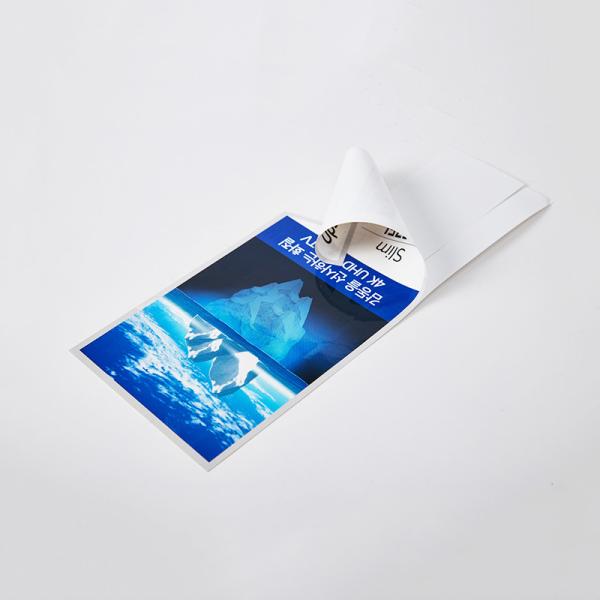Quality Custom Self Adhesive Label Sticker Fixed Transparent Digital LOGO for sale