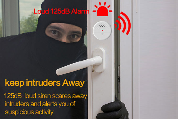Sensitivity Adjustable Wireless Vibration Sensor Alarm , Anti Theft Alarm System For Home