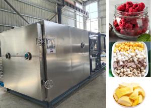 Large Food Milk Vacuum  Freeze Dry Fruit Machine with 100kg/batch
