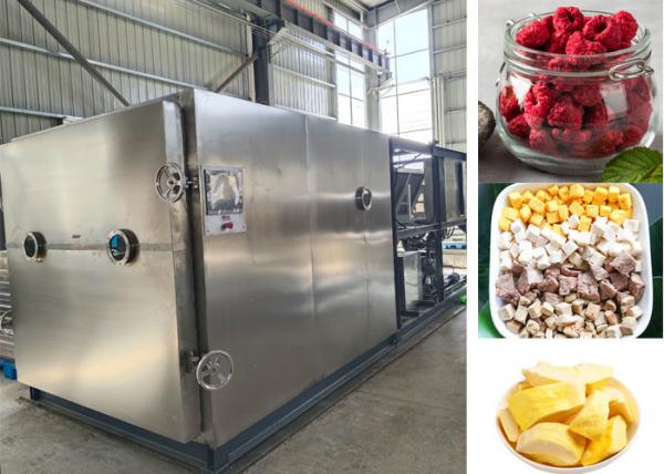Quality Large Food Milk Vacuum  Freeze Dry Fruit Machine with 100kg/batch for sale