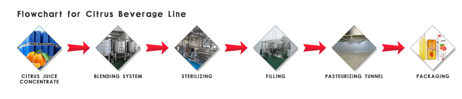 Energy Saving 60T/D CIP Cleaning Fruit Processing Line