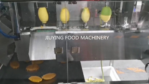 KIwi Orange Mango Fruit And Vegetable Peeler Machine