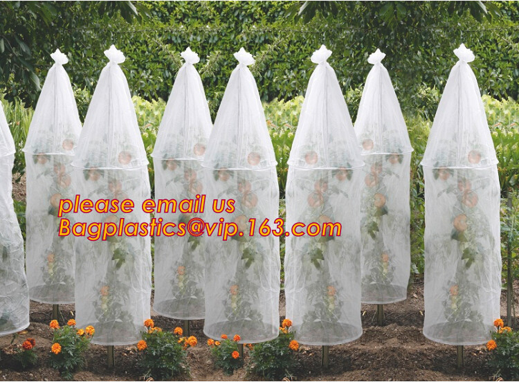 HOTICULTURAL MULCH FILM,AGRICULTURAL PE FILM,MARKET GARDENERS CLOCHE FILM,PE FILM FOR CORN,PLASTIC FILM COVER,TOMATO COV